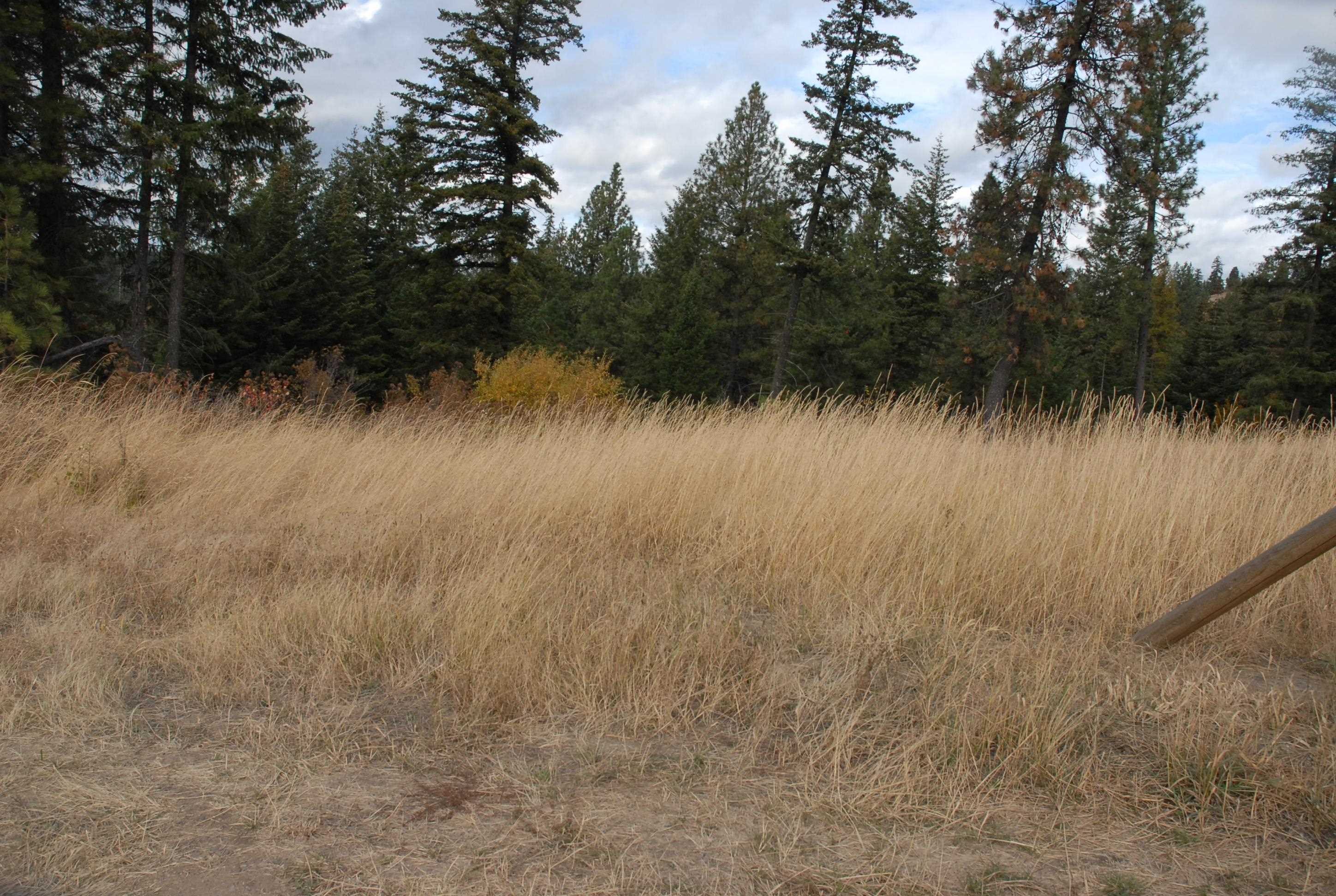 13507 East Tallman Road Chattaroy, WA 99003 - Photo 3 of 14 Gallery Image 3