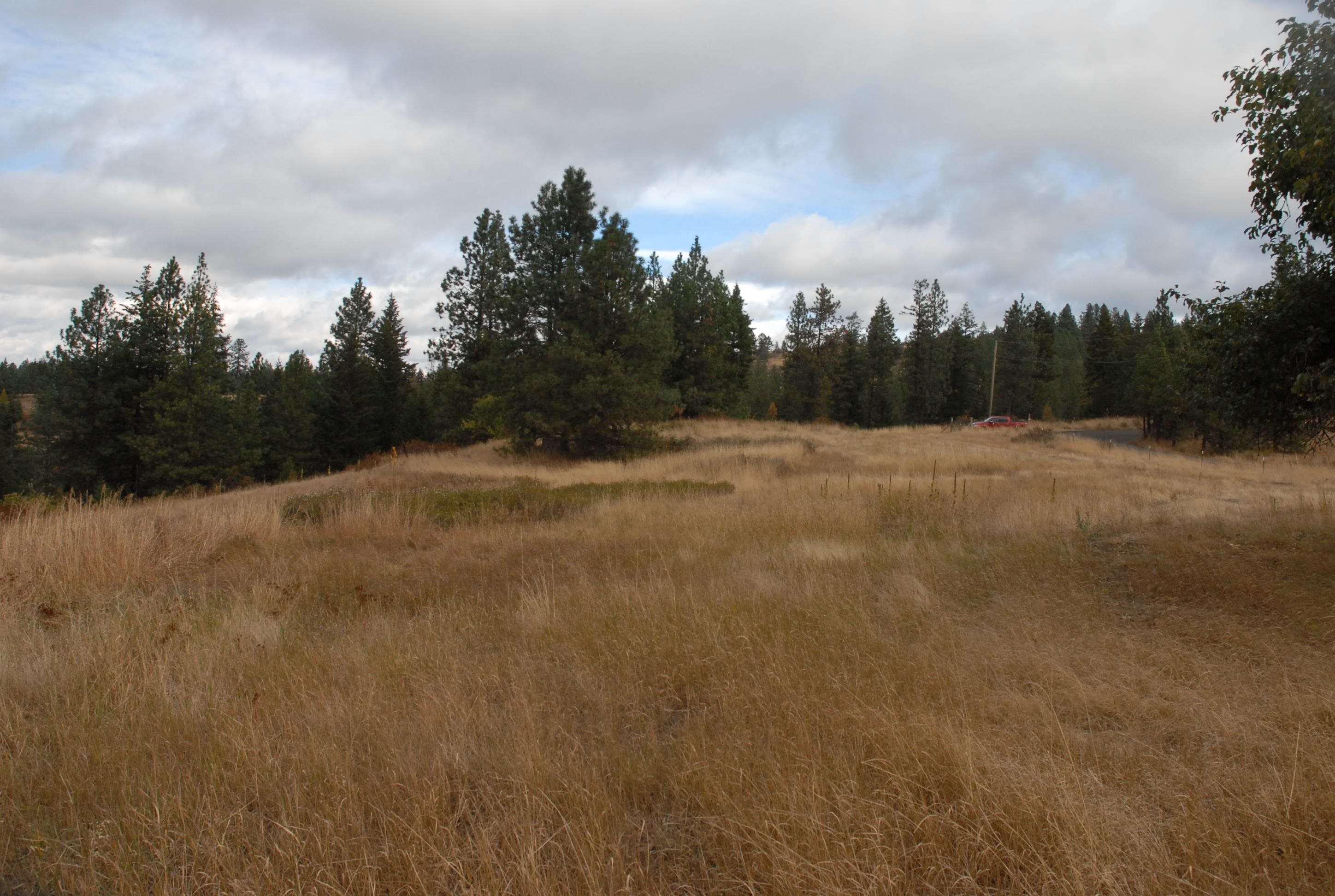 13507 East Tallman Road Chattaroy, WA 99003 - Photo 8 of 14 Gallery Image 8