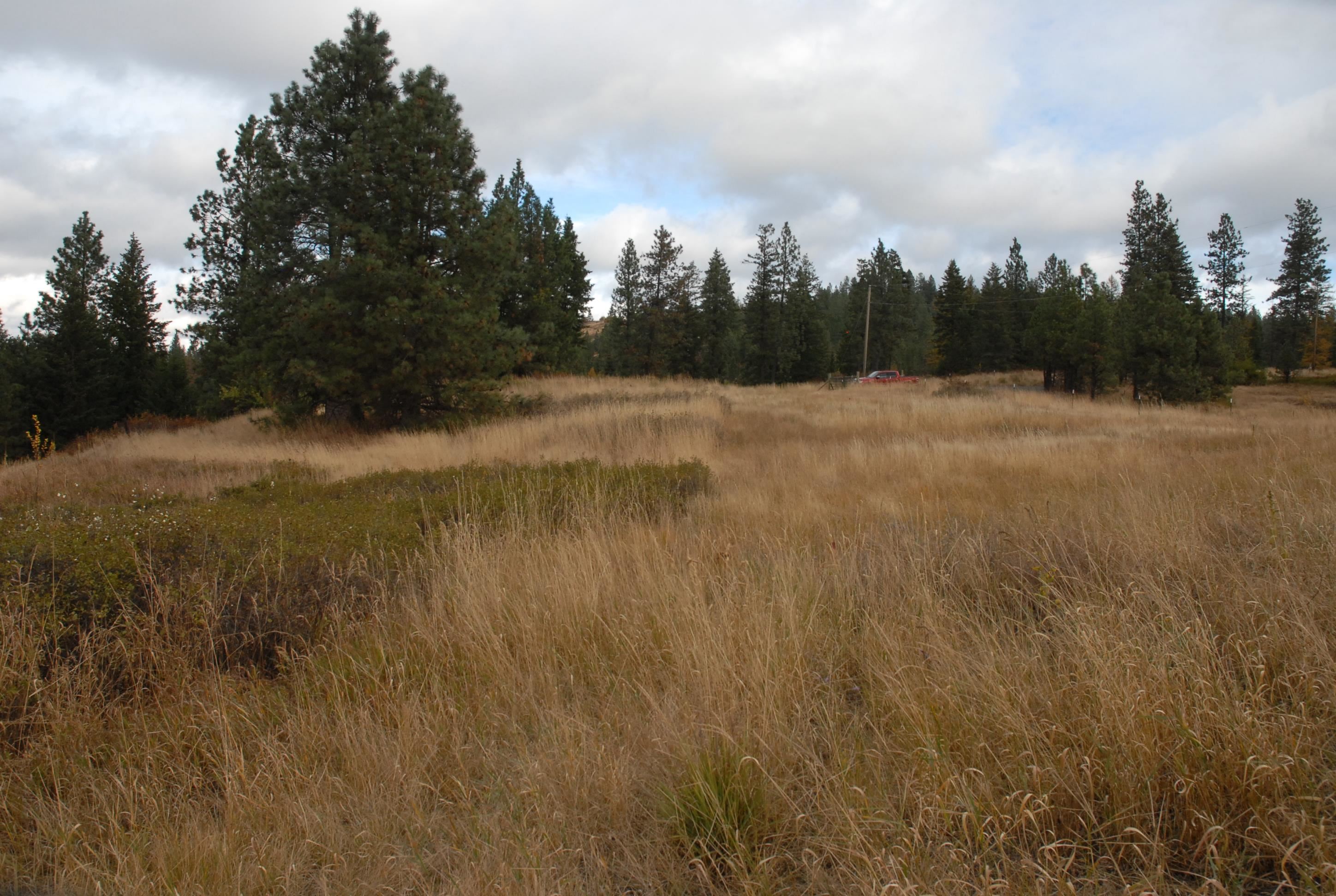13507 East Tallman Road Chattaroy, WA 99003 - Photo 9 of 14 Gallery Image 9