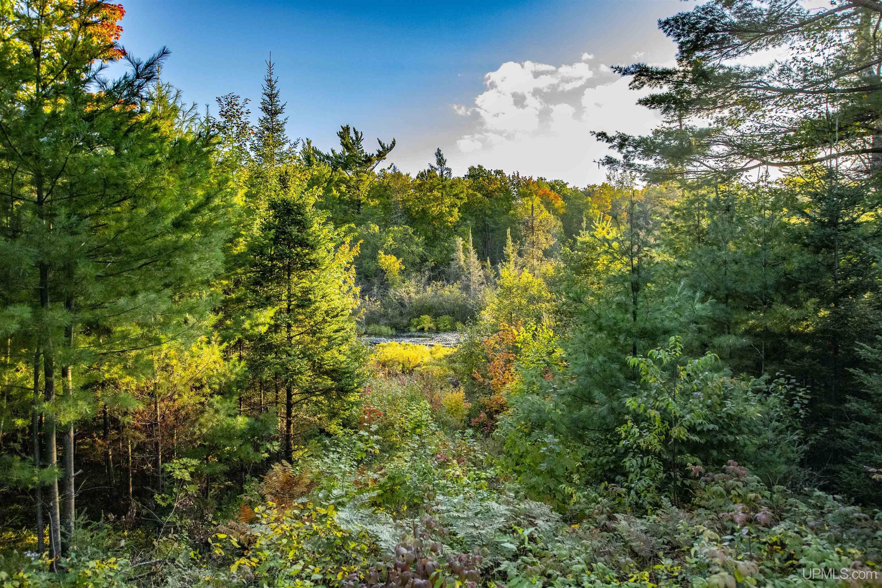 Tbd Luke Road Amasa, MI 49903 - Photo 6 of 64