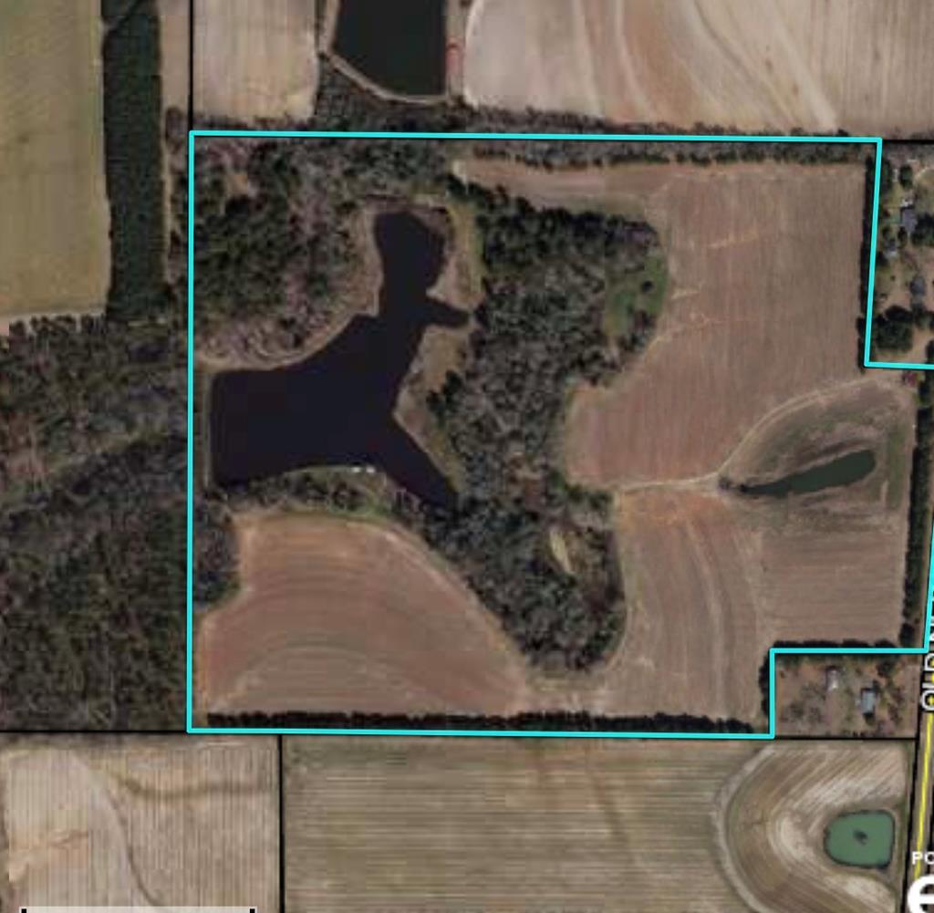 0 Old Newton Road Pelham, GA 31779 - Photo 1 of 2 Main View