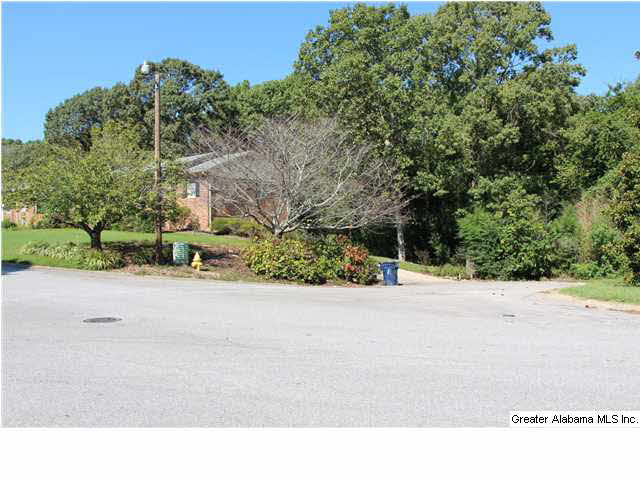 1520 Caribbean Circle Alabaster, AL 35007 - Photo 31 of 32