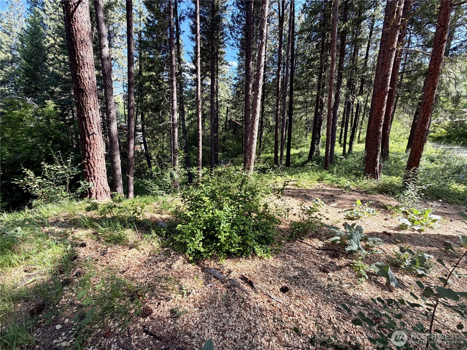 11 Highland Mdw Road Winthrop, WA 98862 - Photo 25 of 25 a view of backyard with green space