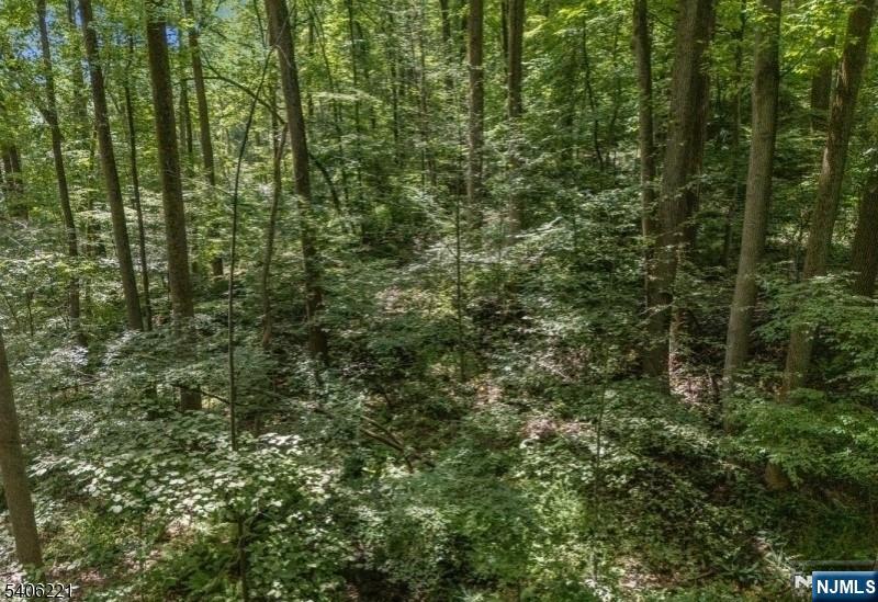 Sweet Hollow Road Milford, NJ 08848 - Photo 12 of 14