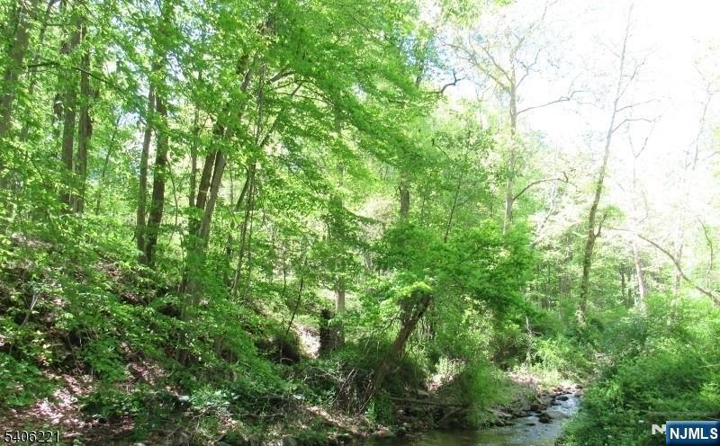 Sweet Hollow Road Milford, NJ 08848 - Photo 13 of 14