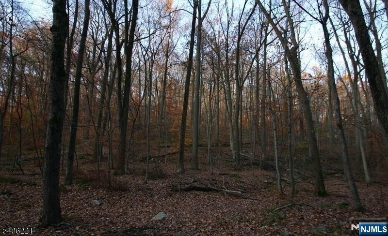 Sweet Hollow Road Milford, NJ 08848 - Photo 7 of 14