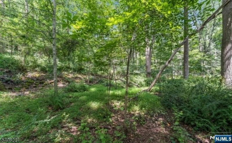 Sweet Hollow Road Milford, NJ 08848 - Photo 8 of 14