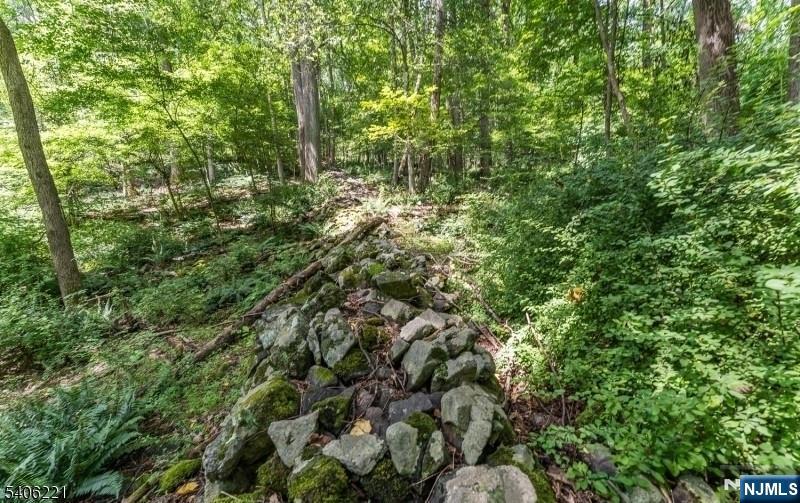 Sweet Hollow Road Milford, NJ 08848 - Photo 9 of 14