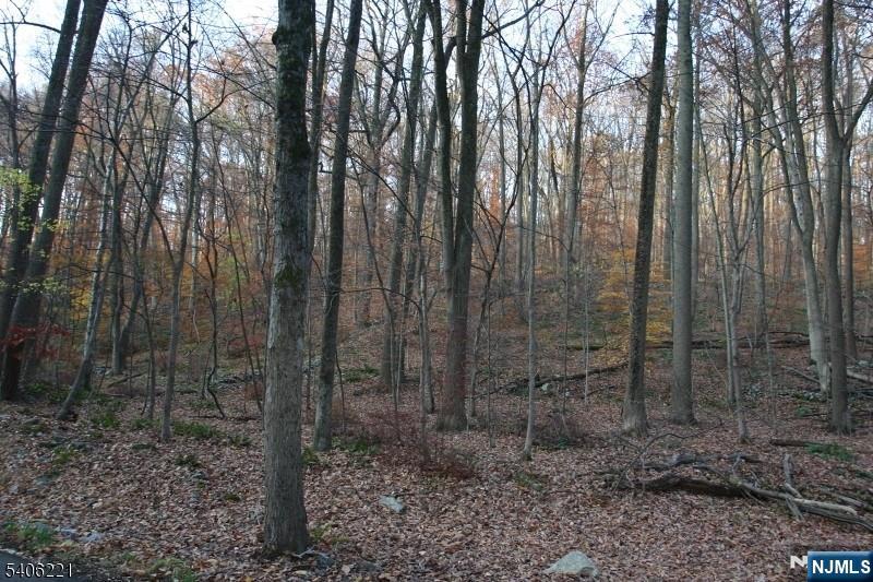 Sweet Hollow Road Milford, NJ 08848 - Photo 10 of 14