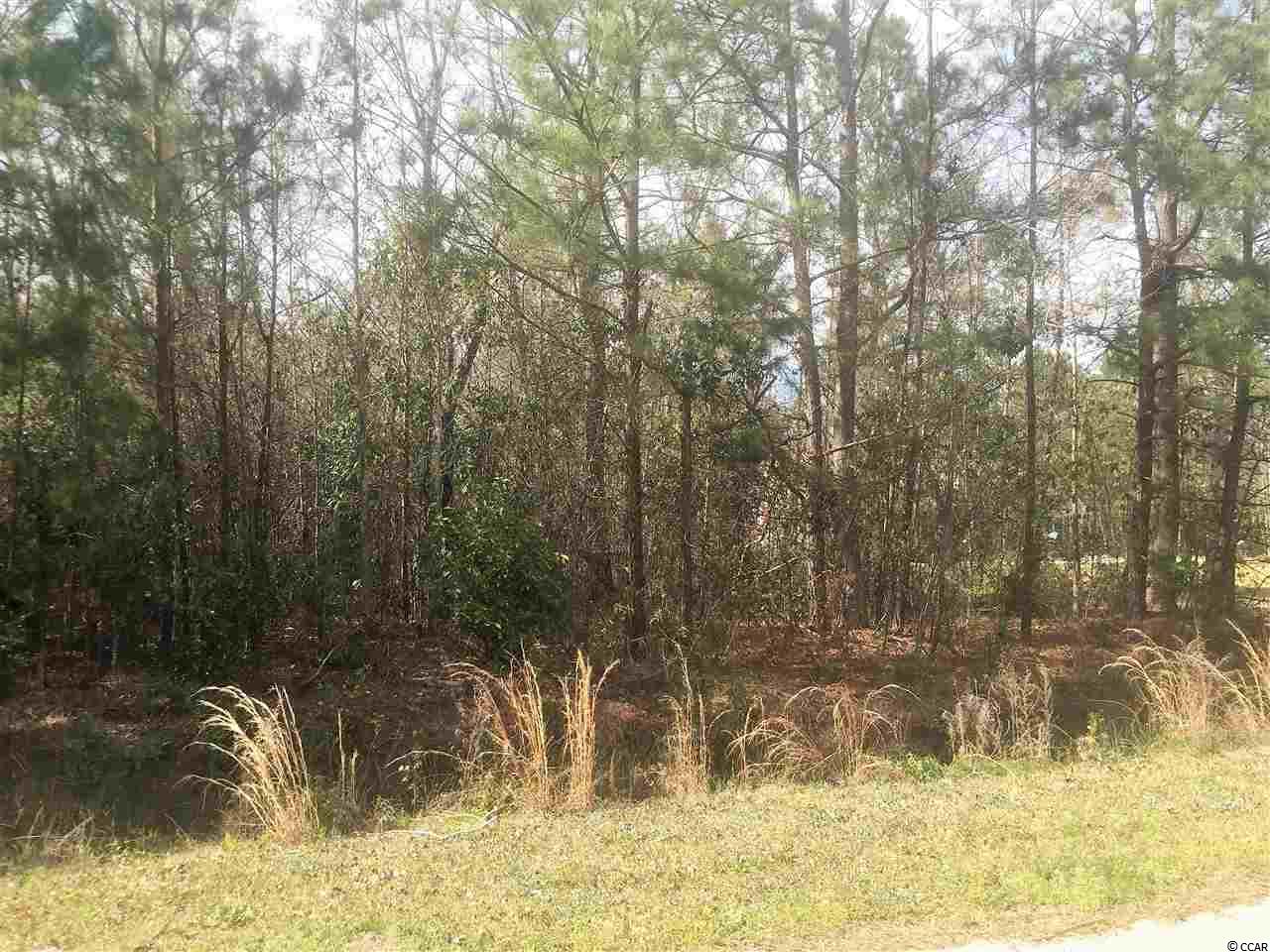 Lot 3 Allen Street Loris, SC 29569 - Photo 2 of 2 Gallery Image 2
