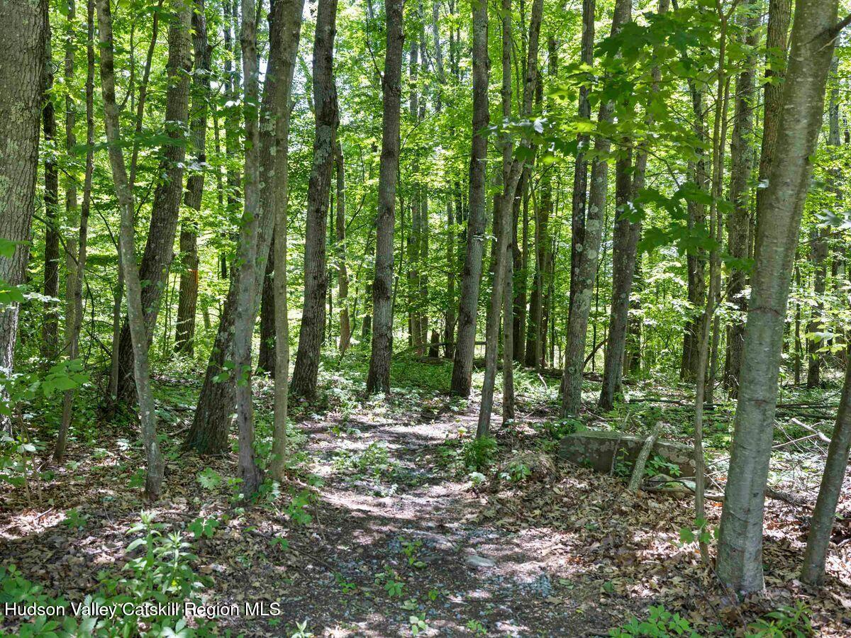 284 Tuckers Corners Road Highland, NY 12528 - Photo 32 of 33 photo_online_018