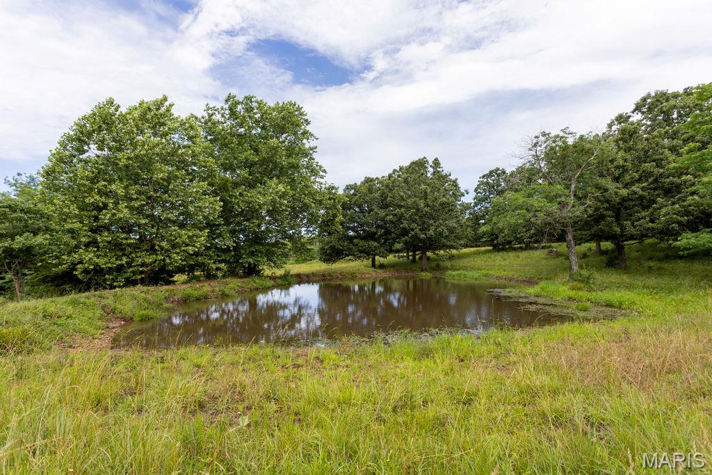 30-ac South 220th Road Half Way, MO 65663 - Photo 6 of 49