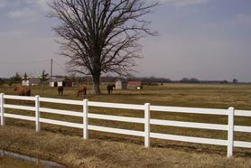 365 East Stilson Road Peck, MI 48466 - Photo 5 of 7 216491-4.JPG