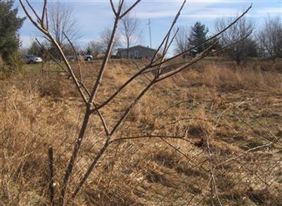 2374 Meadowbrook Road Eau Claire, MI 49111 - Photo 10 of 20 Additional Photo