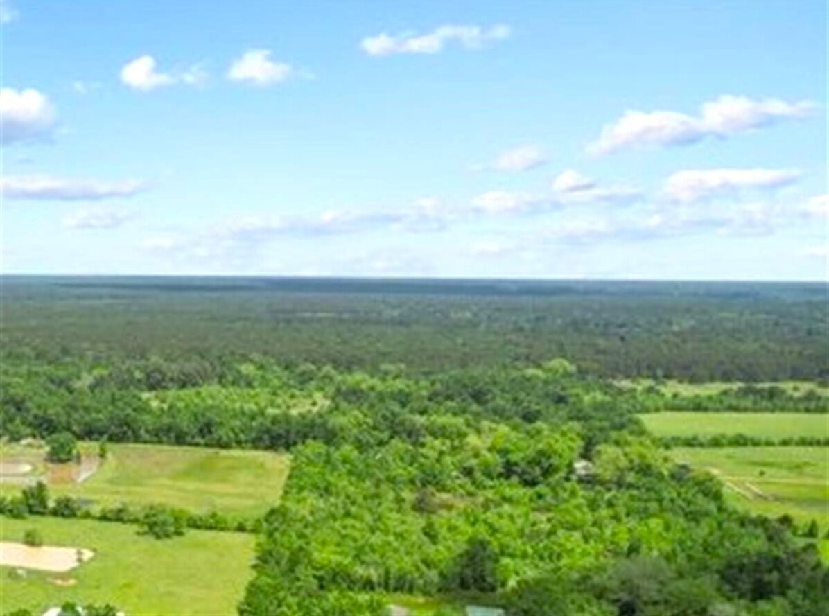 0 Wynne Road Trinity, TX 75862 - Photo 2 of 6
