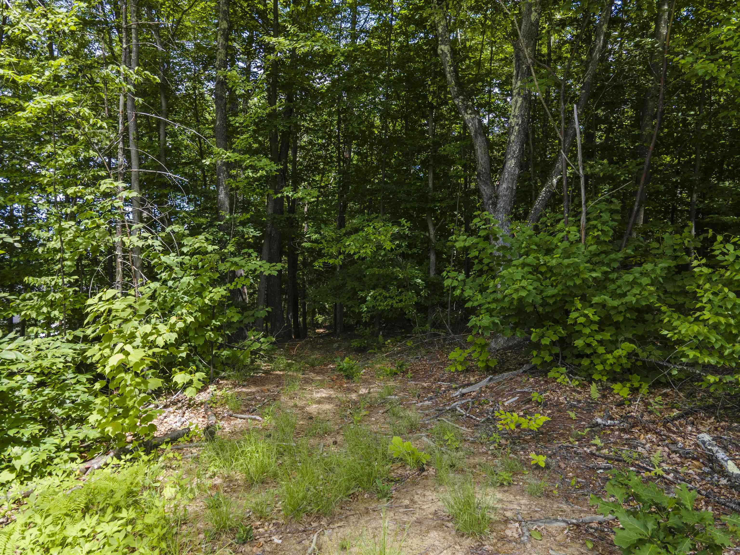 Polly Ham Road Northfield, NH 03276 - Photo 28 of 31
