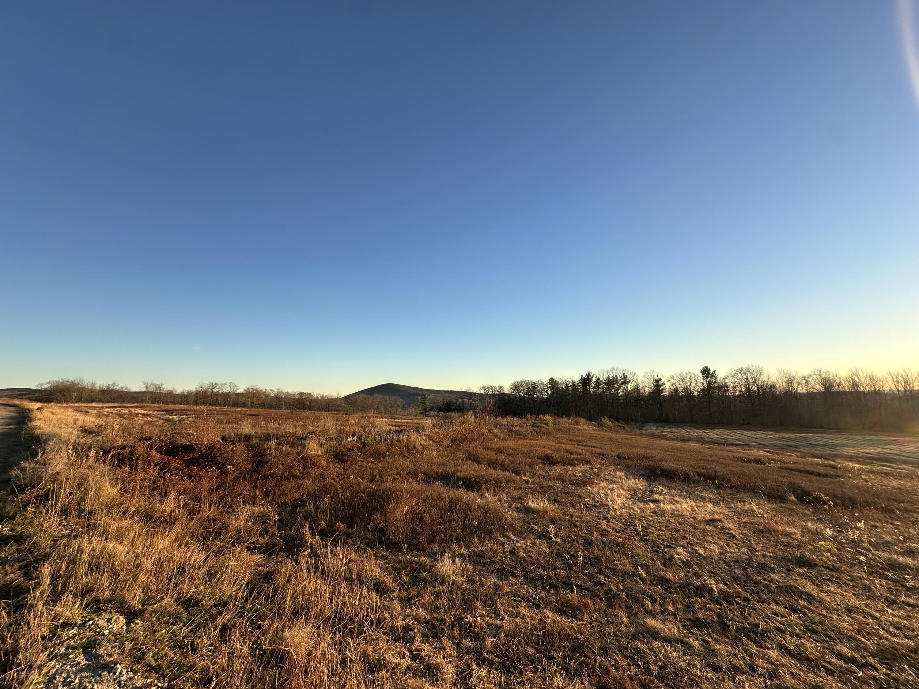 Map16-lot10 Upper Long Pond Road Orland, ME 04472 - Photo 8 of 8 Carey4