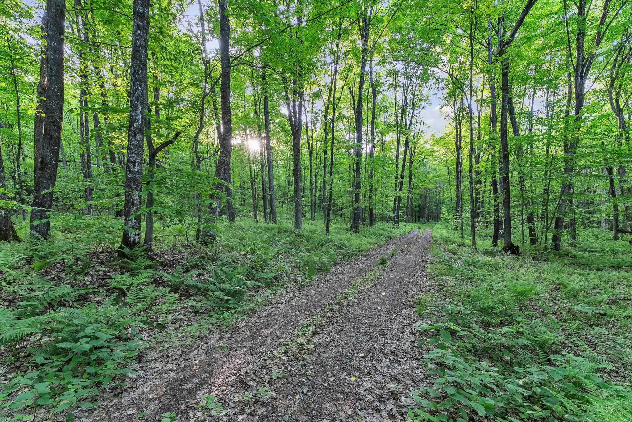 4647 Lake Road Newport Town, VT 05857 - Photo 42 of 52