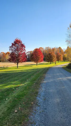 $1,995,000 | 4647 Lake Road, Newport Town, VT 05857