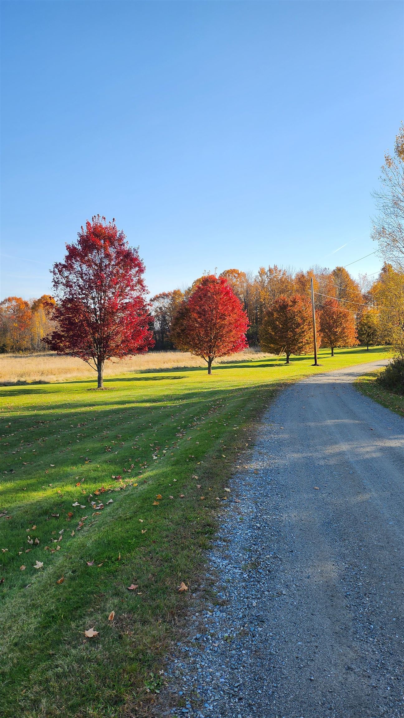 4647 Lake Road Newport Town, VT 05857 - Photo 44 of 52