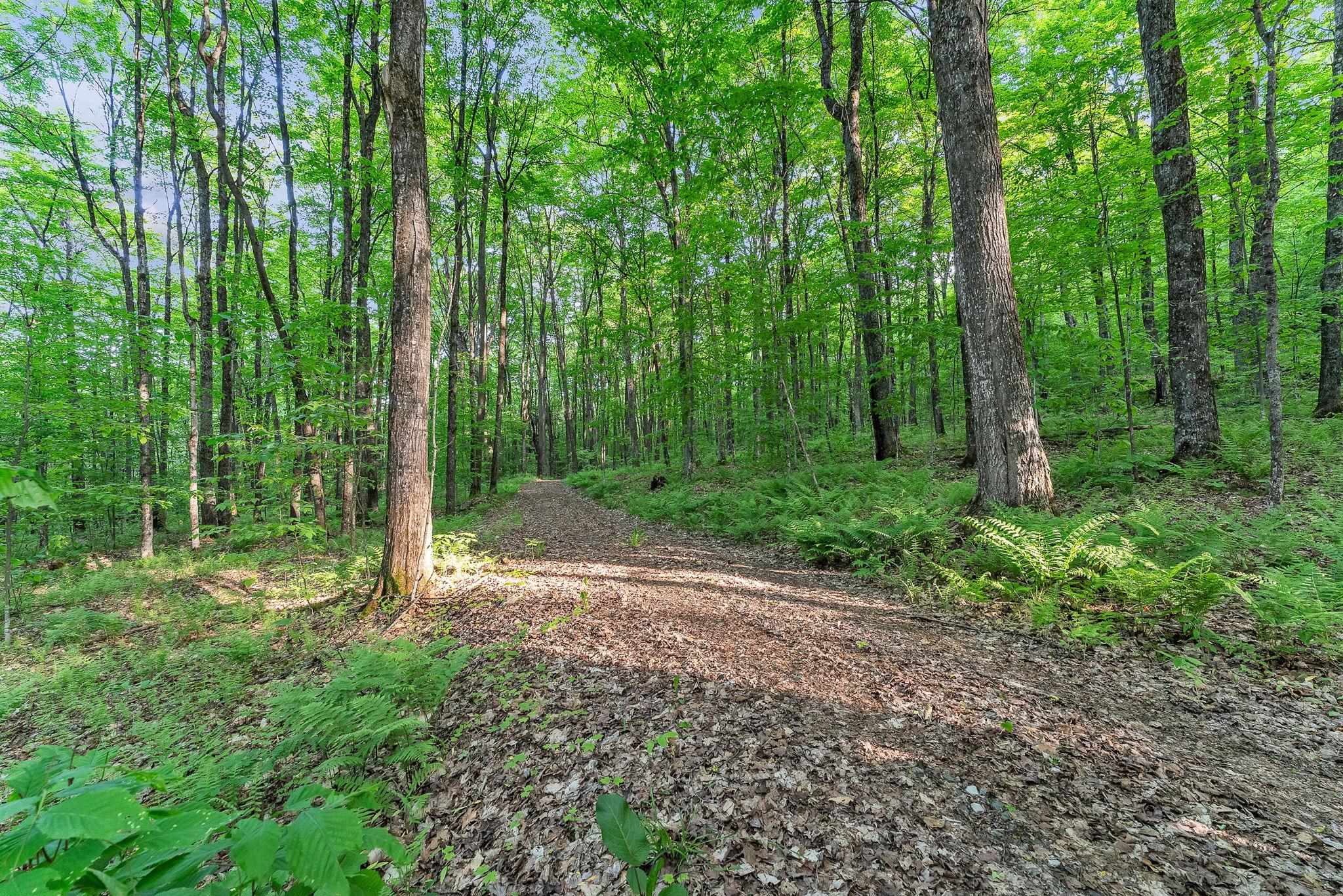 4647 Lake Road Newport Town, VT 05857 - Photo 7 of 52