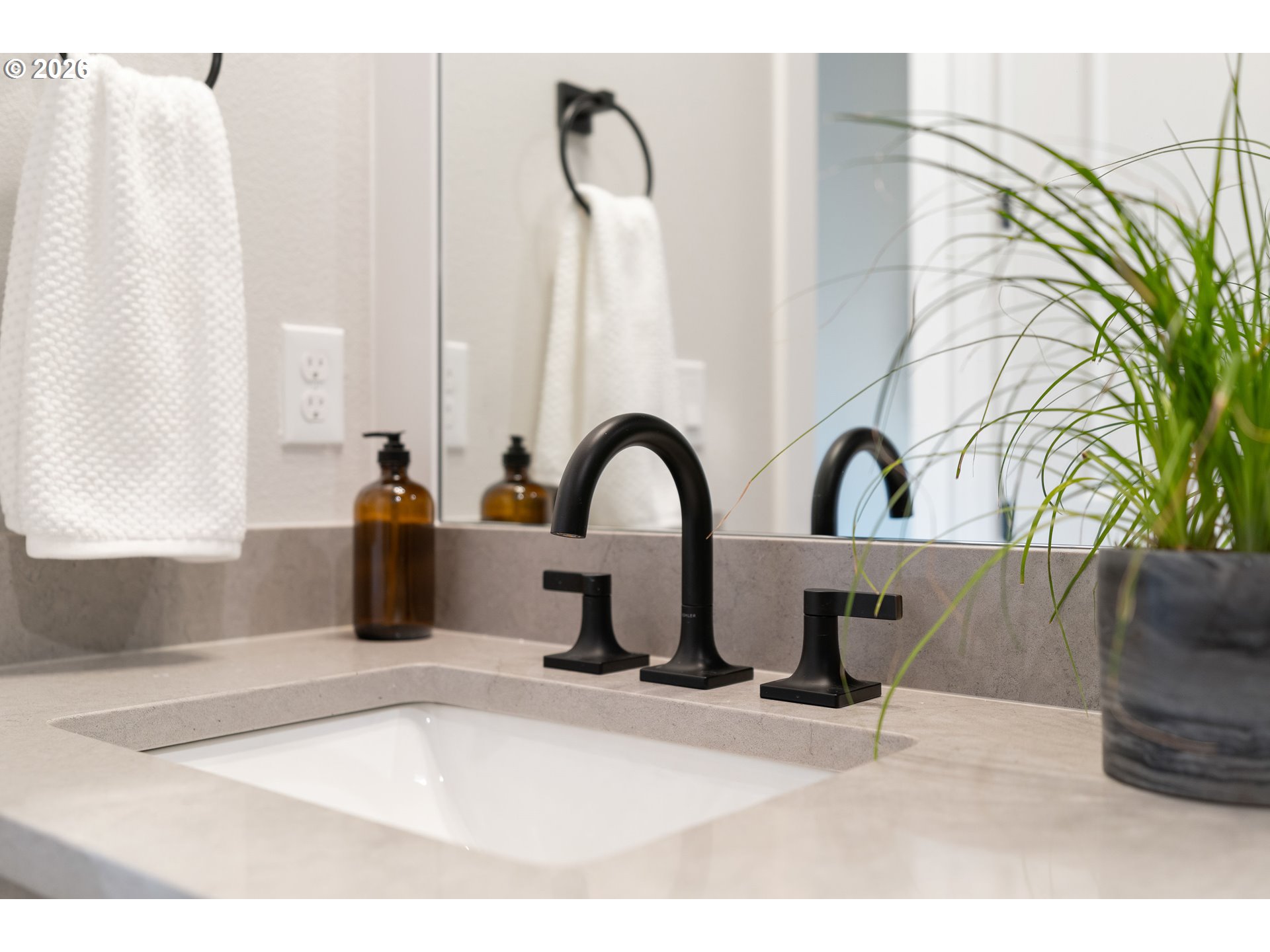 4192 Cornwall Street West Linn, OR 97068 - Photo 39 of 44 a close view of a sink a faucet and a potted plant on a counter