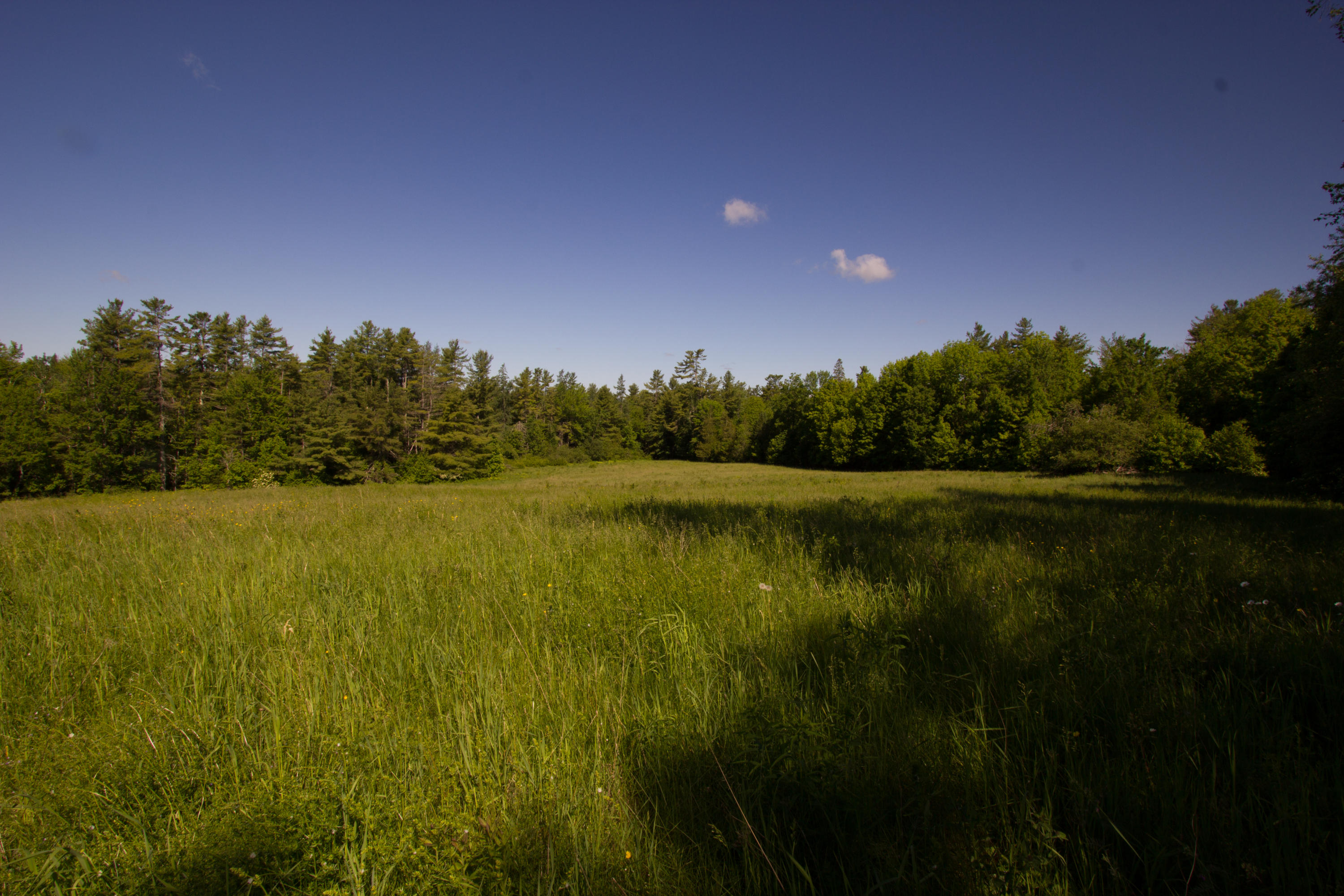 105 Troy Center Road Troy, ME 04987 - Photo 110 of 120 IMG_3841