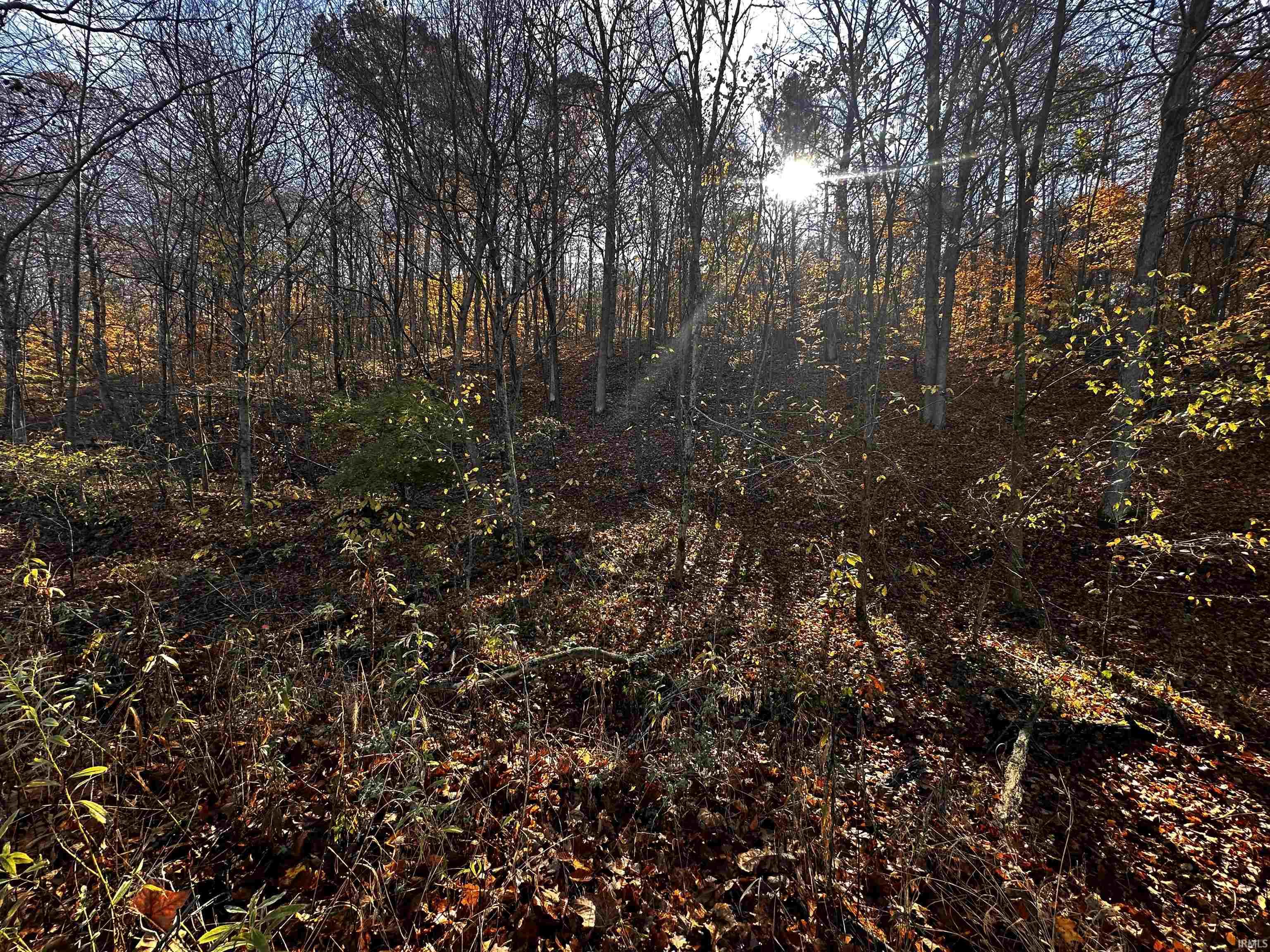 2949 South Happy Hollow Road Bloomfield, IN 47424 - Photo 3 of 16