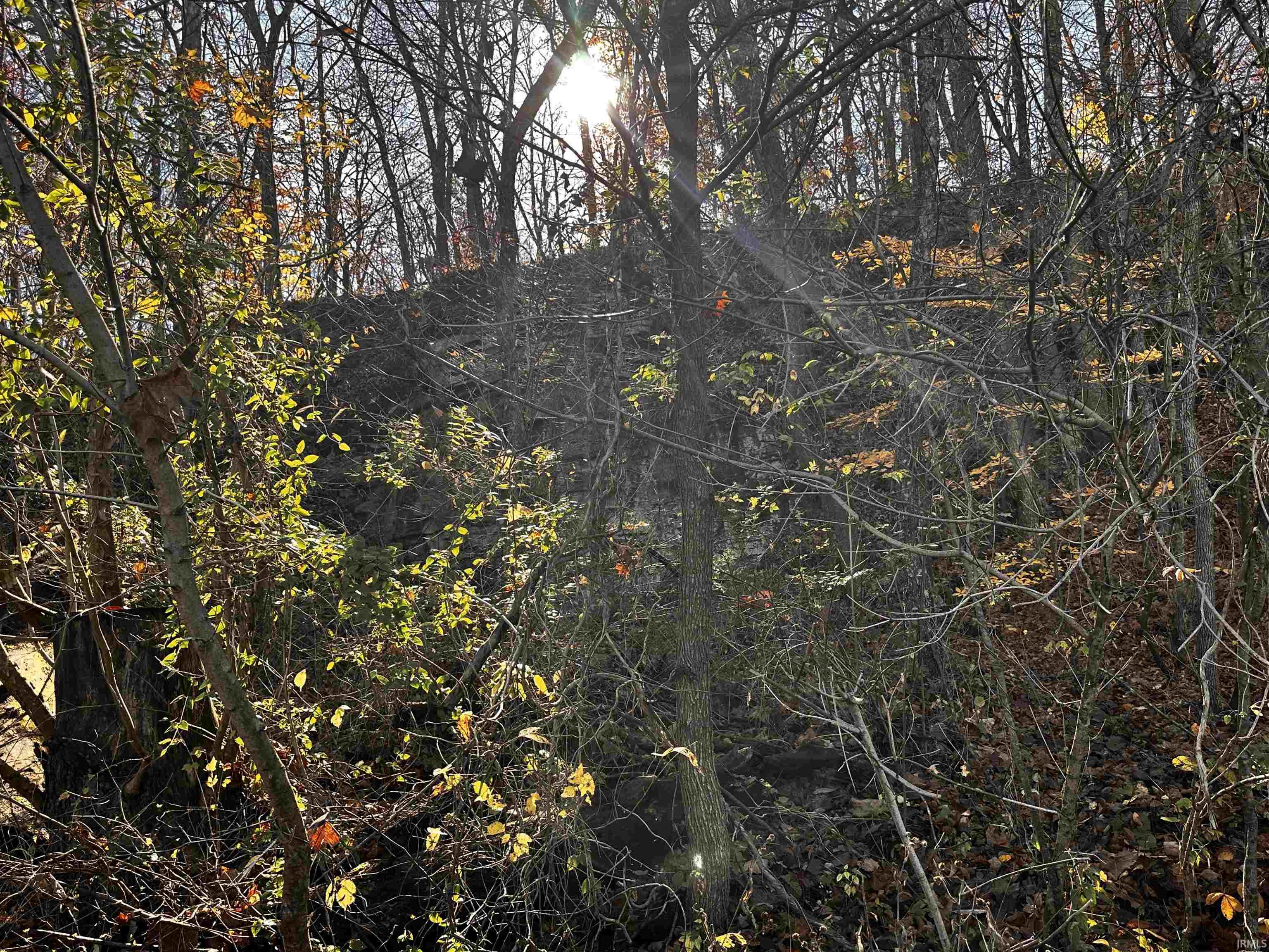 2949 South Happy Hollow Road Bloomfield, IN 47424 - Photo 4 of 16