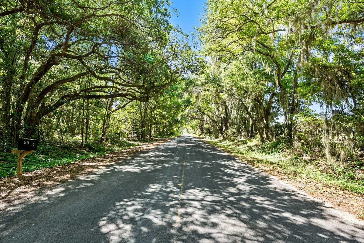 2660 Cherry Point Road Wadmalaw Island, SC 29487 - Photo 11 of 63 DSC_0084