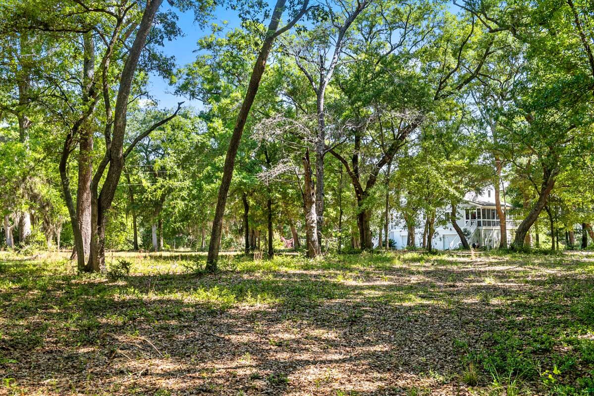 2660 Cherry Point Road Wadmalaw Island, SC 29487 - Photo 13 of 63 DSC_0096