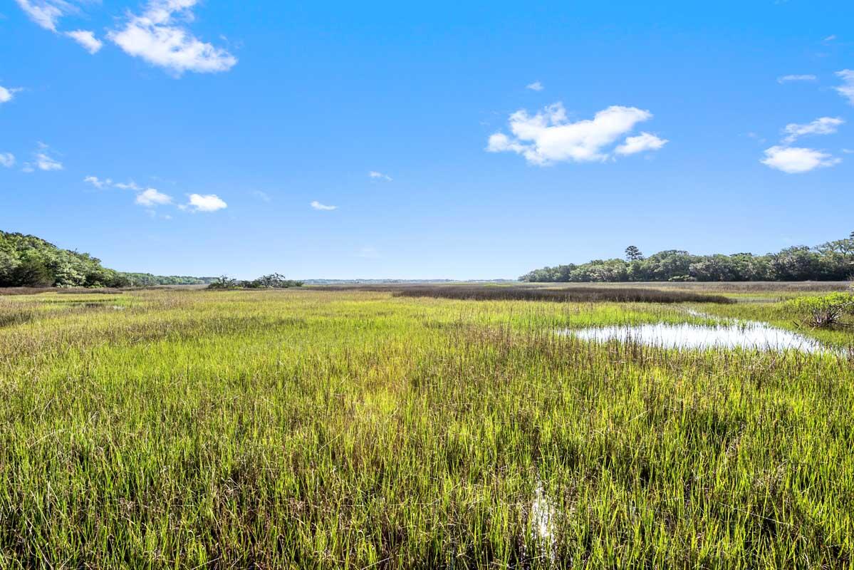 2660 Cherry Point Road Wadmalaw Island, SC 29487 - Photo 17 of 63 DSC_9834