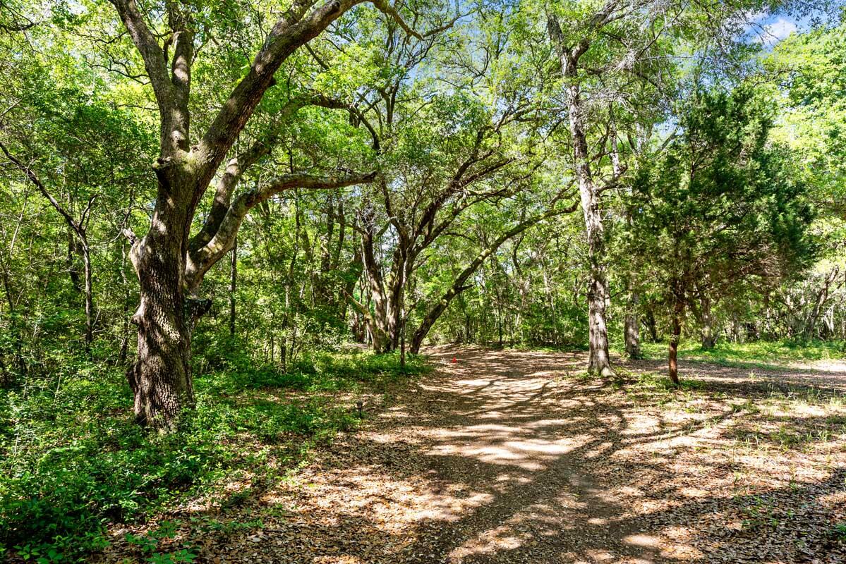 2660 Cherry Point Road Wadmalaw Island, SC 29487 - Photo 7 of 63 BeautifulWoodedDriveway