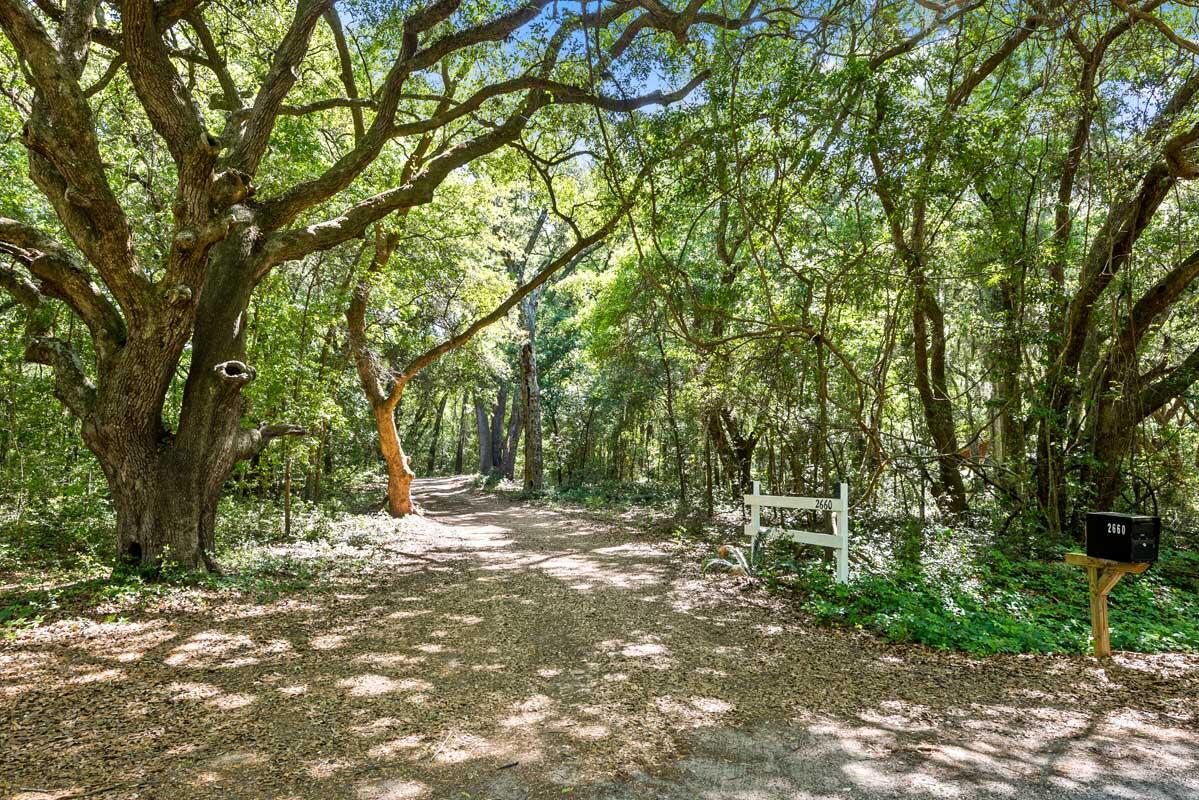 2660 Cherry Point Road Wadmalaw Island, SC 29487 - Photo 8 of 63 BeautifulWoodedDriveway