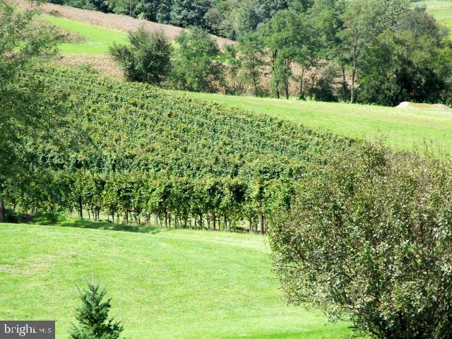 1450 Old Line Road Manheim, PA 17545 - Photo 10 of 18