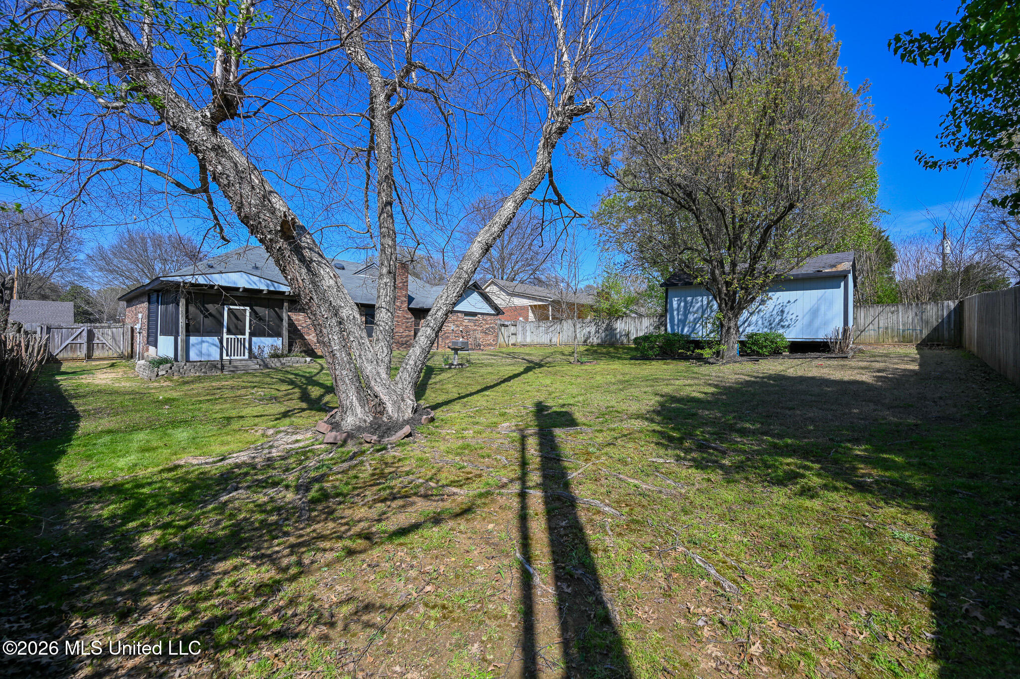 7103 Larkfield Road Olive Branch, MS 38654 - Photo 35 of 47 Backyard