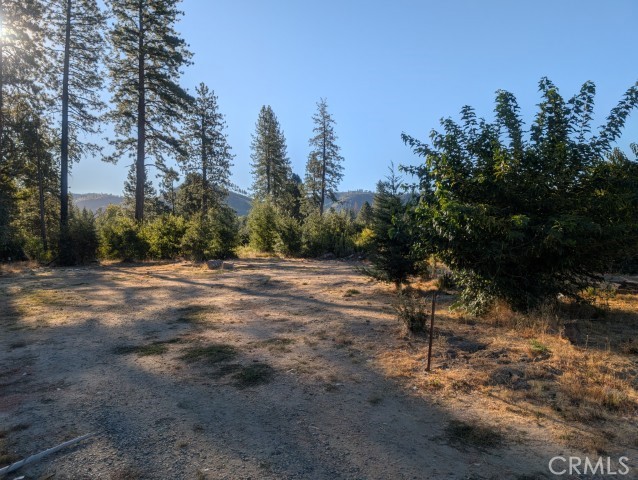 13330 Ambleside Drive Oroville, CA 95965 - Photo 3 of 13