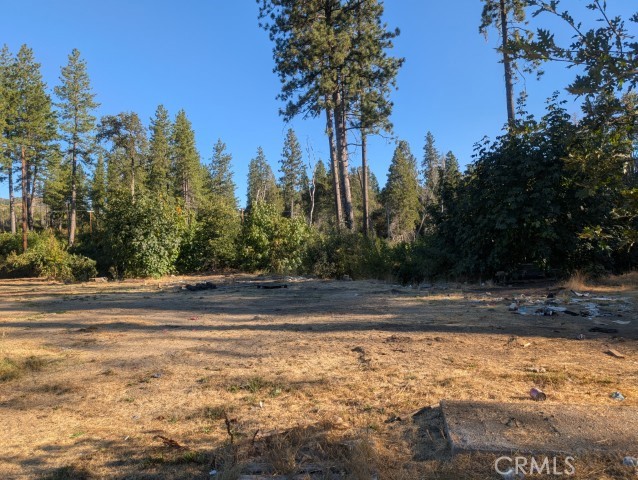 13330 Ambleside Drive Oroville, CA 95965 - Photo 5 of 13