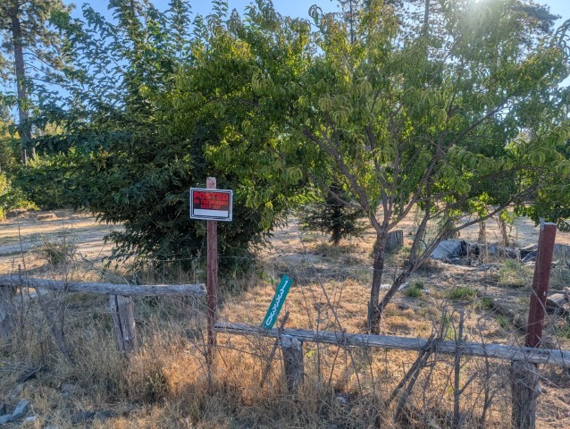 13330 Ambleside Drive Oroville, CA 95965 - Photo 6 of 13