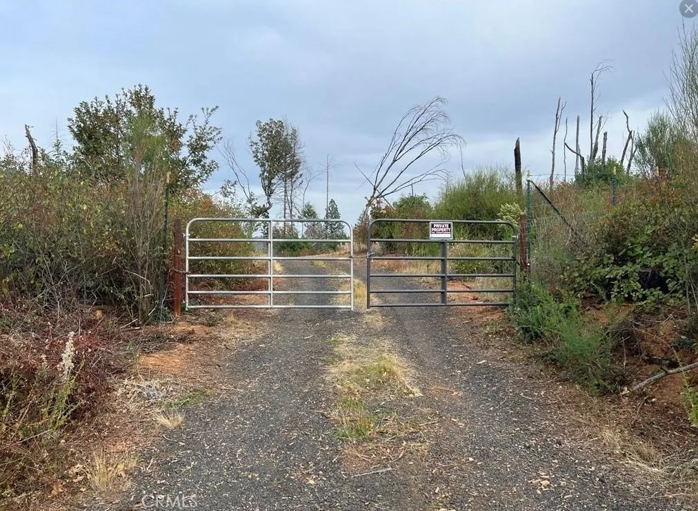 0 Detlow Road Oroville, CA 95965 - Photo 5 of 9 a view of a field with trees in the background