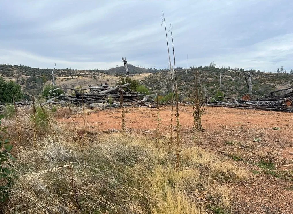 0 Detlow Road Oroville, CA 95965 - Photo 7 of 9 a view of lake