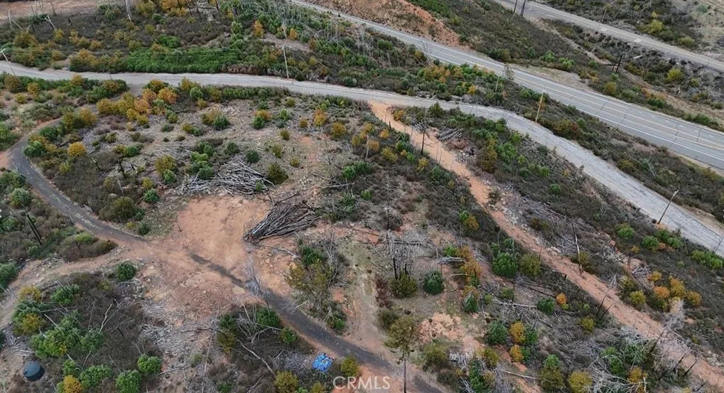 0 Detlow Road Oroville, CA 95965 - Photo 8 of 9 a view of a forest with a forest