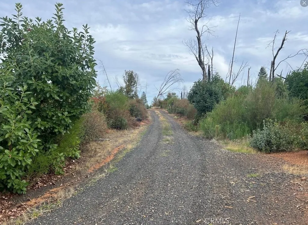 0 Detlow Road Oroville, CA 95965 - Photo 9 of 9 a view of a yard with plants and trees