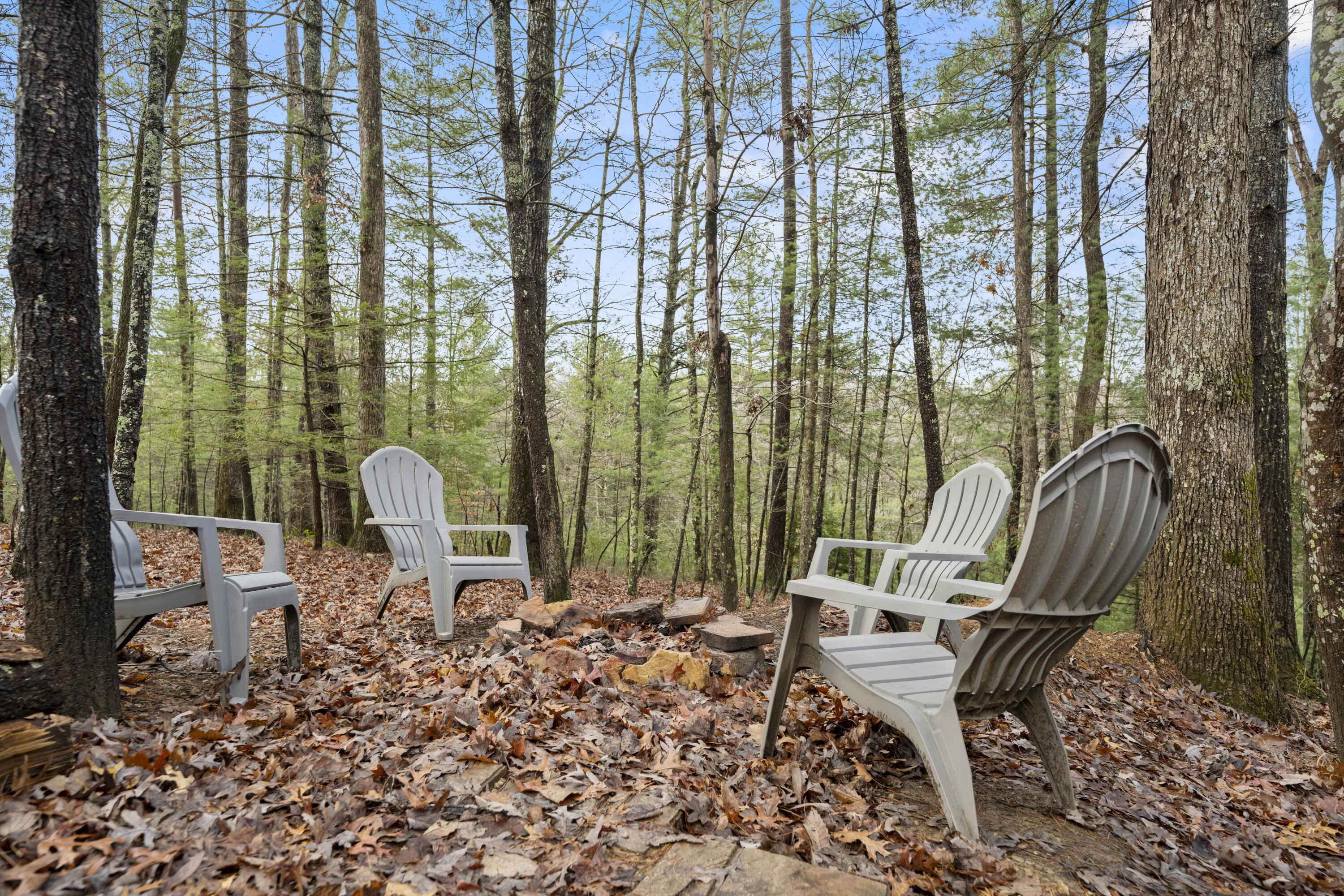 559 Eagle Ridge Road Zoe, KY 41397 - Photo 24 of 24 20241209-559-Eagle-Ridge-Rd-tem-003