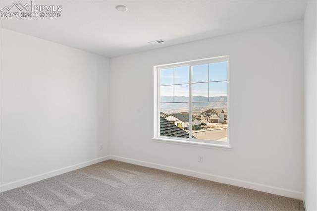 16925 Starfall Drive Monument, CO 80132 - Photo 18 of 23 Gallery Image 18