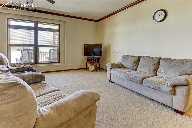 8185 Brule Road Colorado Springs, CO 80908 - Photo 18 of 50