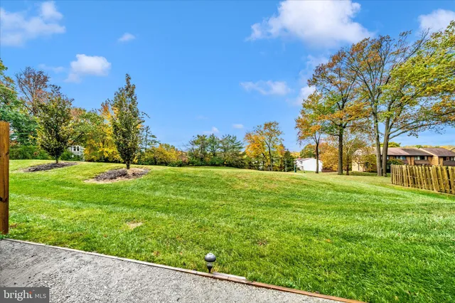 a view of yard with green space