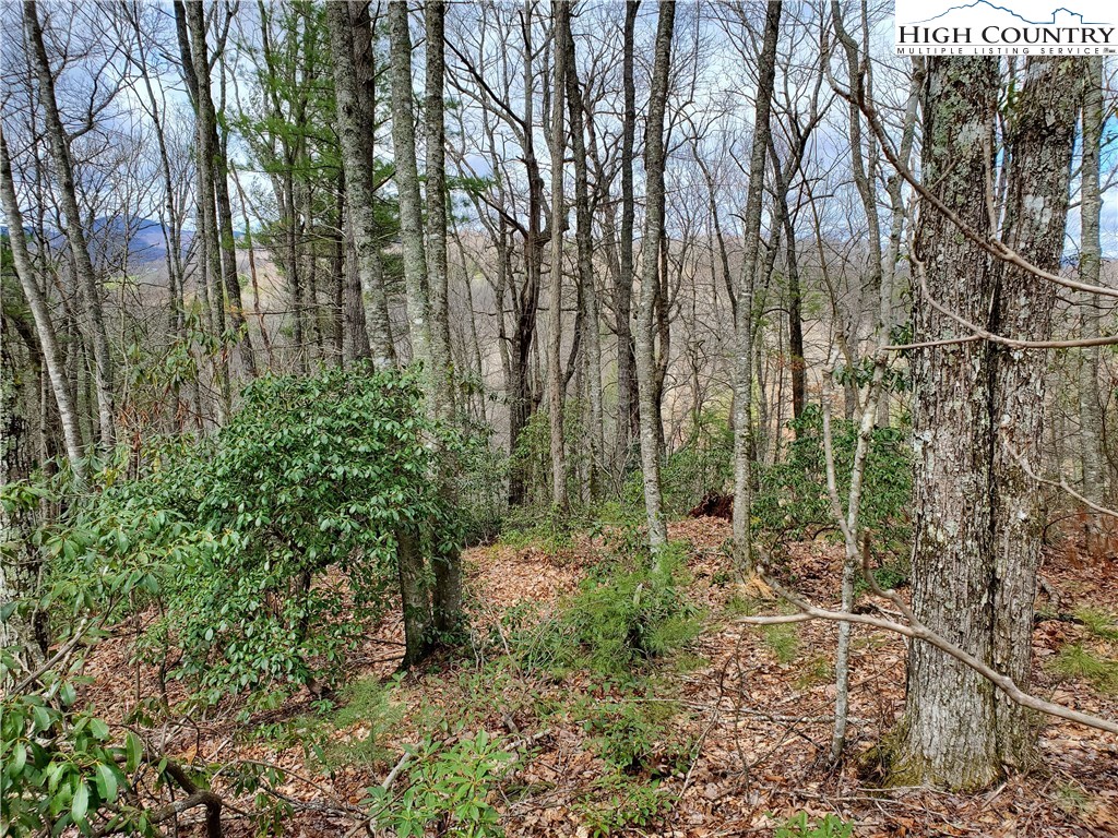 Lot 8 River Ridge Road Boone, NC 28607 - Photo 1 of 7 Gallery Image 1