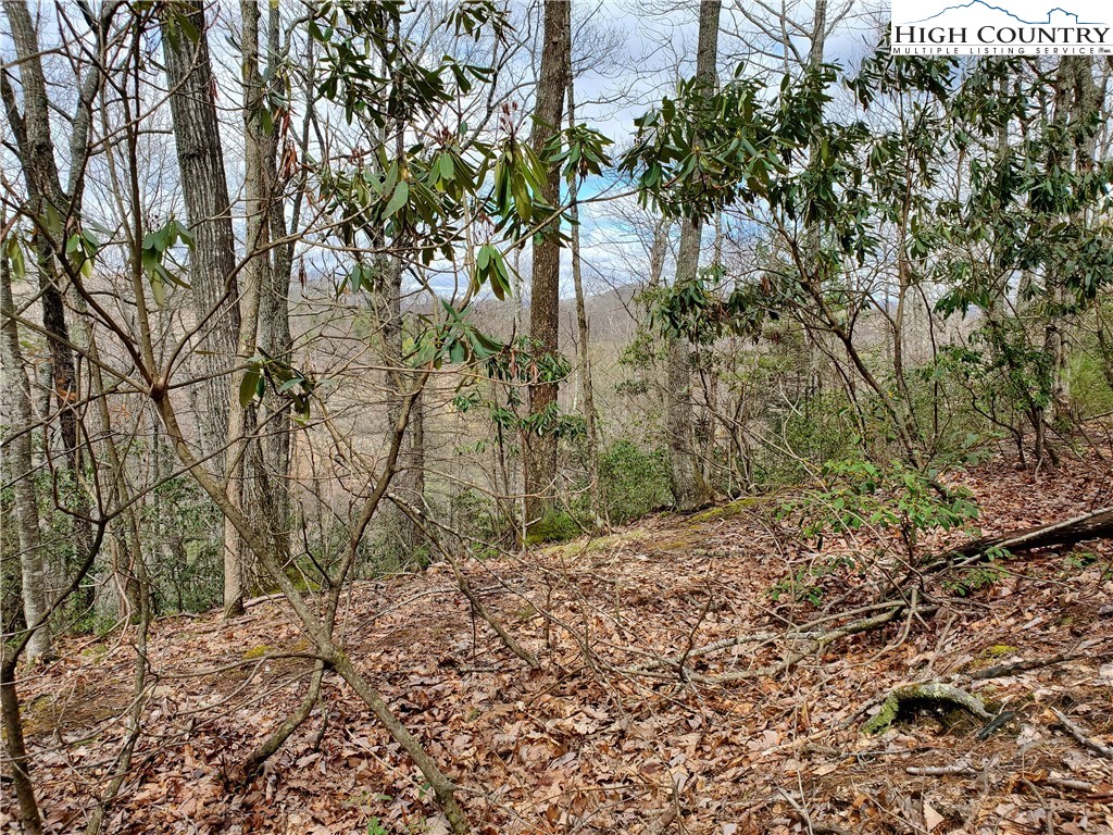 Lot 8 River Ridge Road Boone, NC 28607 - Photo 2 of 7 Gallery Image 2