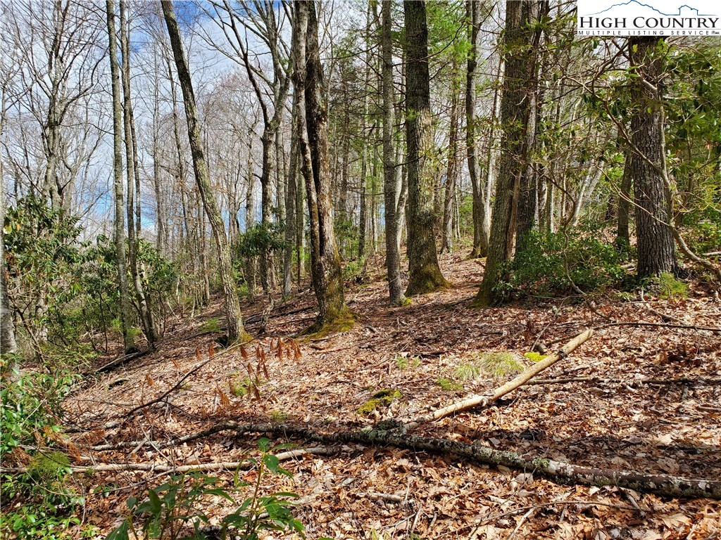 Lot 8 River Ridge Road Boone, NC 28607 - Photo 3 of 7 Gallery Image 3